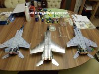 BA-MiG-25.0004