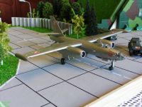 IL-28.003