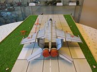 MiG-25-NGZ.0011