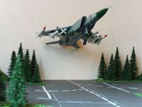 MiG-25.0007