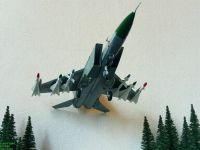 MiG-25.0011