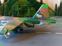 SU-25.019