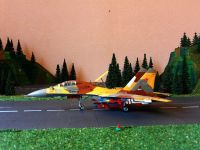 SU-27UB.0009