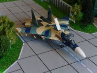 SU-33a.016