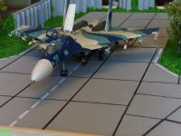 SU-33a.019