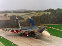 SU-35-703.007
