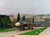 SU-35-703.008