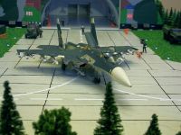 SU-37.0009